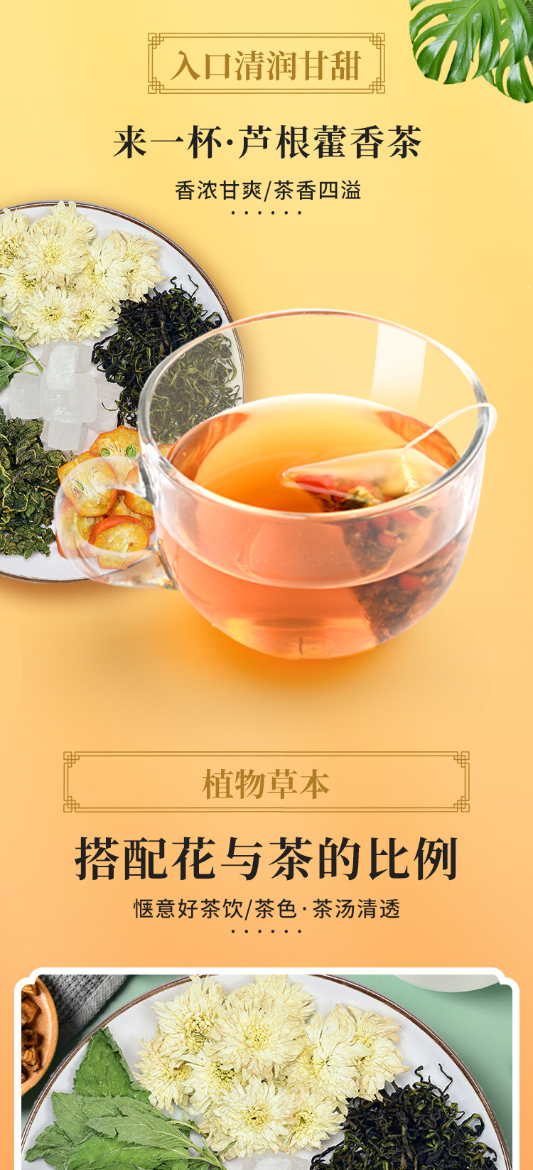 芦根藿香茶 (3).jpg